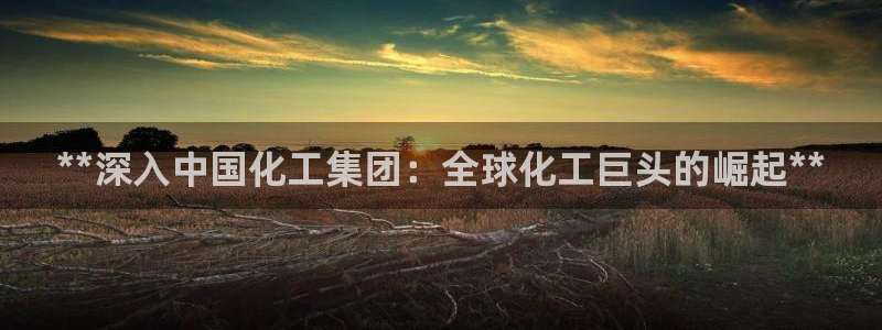 球盟会提款支付宝怎么样：**深入中国化工集团：全球化工巨头的