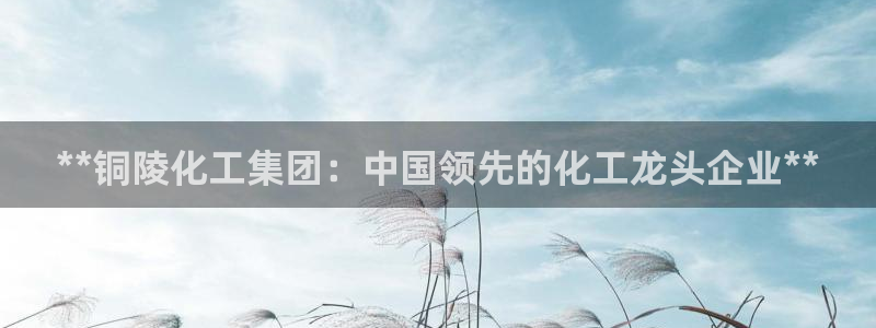 球盟会app最新地址在哪：**铜陵化工集团：中国领先的化工龙