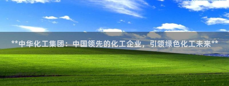 球盟会官方版下载地址：**中华化工集团：中国领先的化工企业，