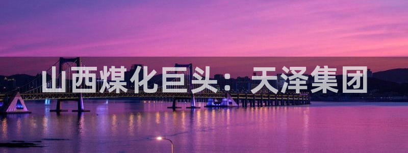 球盟会登陆：山西煤化巨头：天泽集团