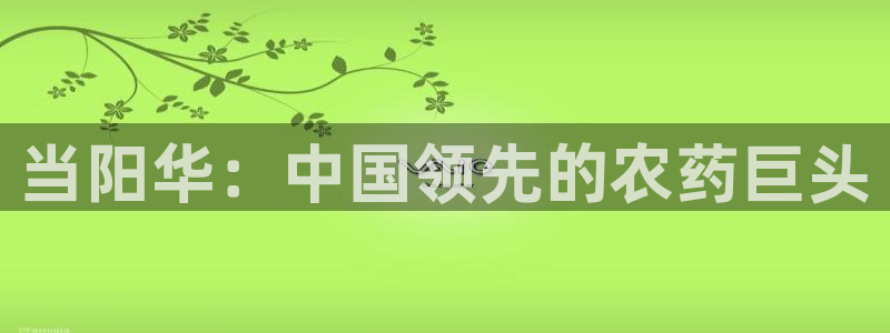 球盟会官网app下载：当阳华：中国领先的农药巨头