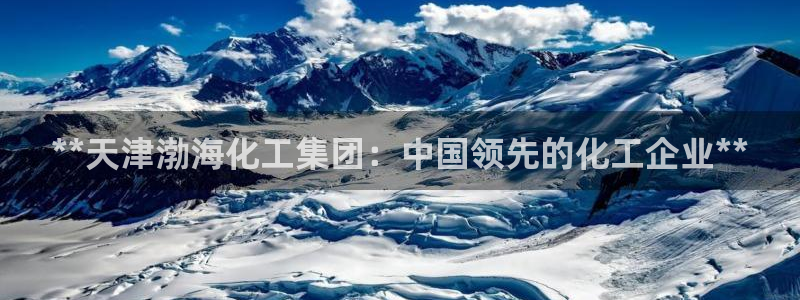 球盟会在线登入：**天津渤海化工集团：中国领先的化工企业**