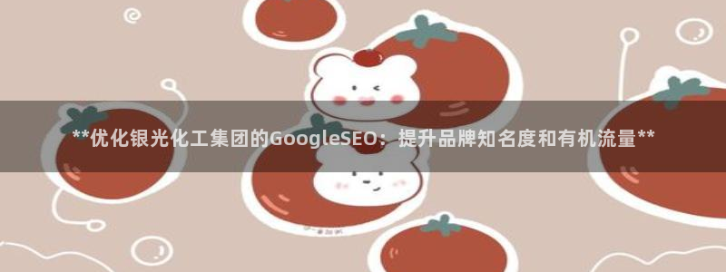 球盟会黑款吗：**优化银光化工集团的GoogleSEO：提升