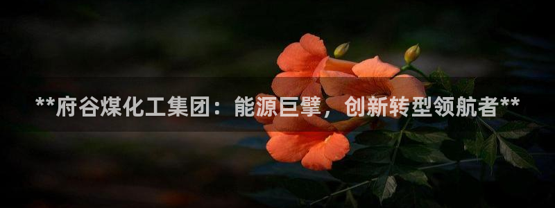 球盟会唯一