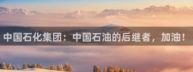 球盟会最新网：中国石化集团：中国石油的后继者，加油！