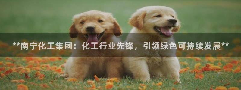 球盟会入口：**南宁化工集团：化工行业先锋，引领绿色可持续发