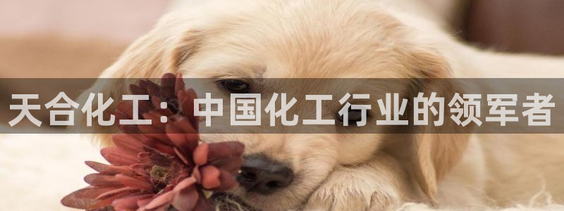 球盟会网址qm9 - 球盟会qmh网页版登录