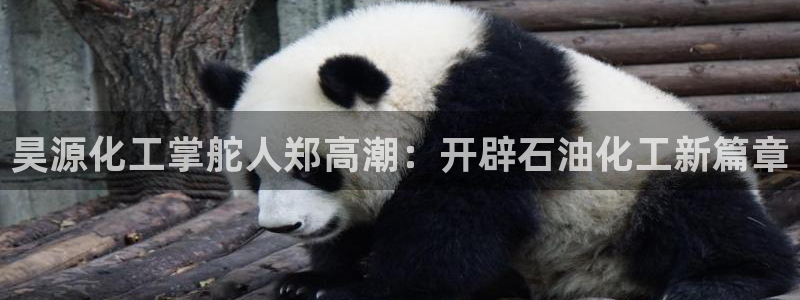球盟会用的客服聊天是哪个软件