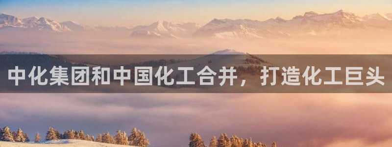 球盟会官方