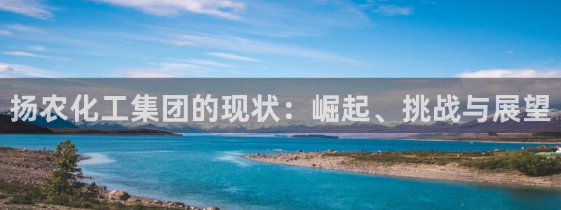 球盟会和中欧会的区别