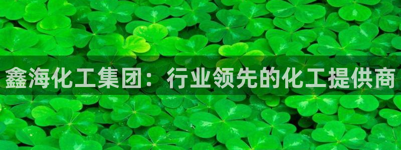 球盟会app最新地址在哪看：鑫海化工集团：行业领先的化工提供