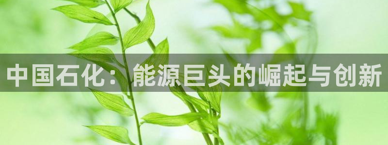 球盟会官方网站