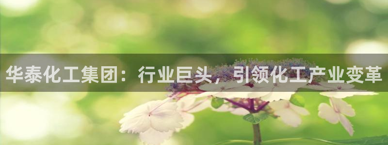 球盟会用的客服聊天是哪个软件：华泰化工集团：行业巨头，引领化