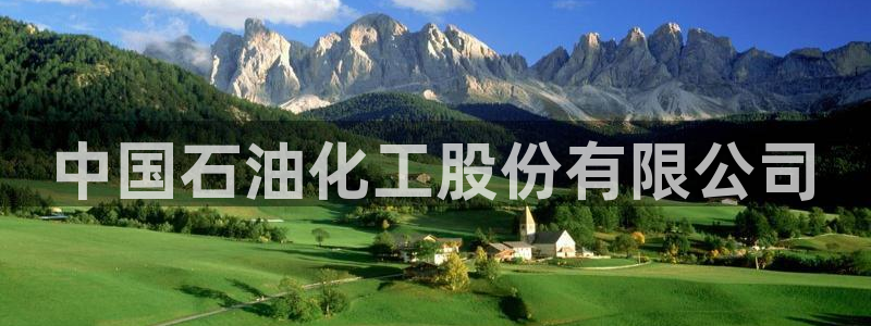 球盟会邮箱：中国石油化工股份有限公司