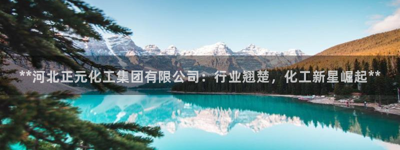球盟会官方下载
