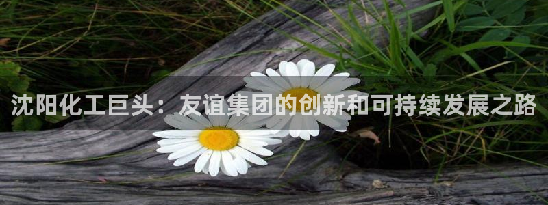 球盟会头号玩家是谁：沈阳化工巨头：友谊集团的创新和可持续发展