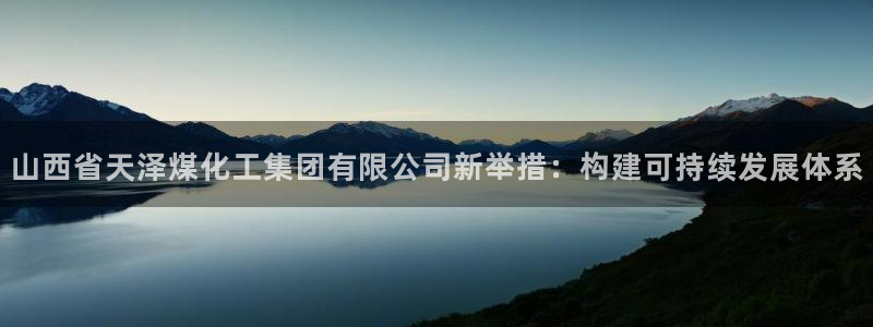 球盟会用的客服聊天是哪个软件：山西省天泽煤化工集团有限公司新