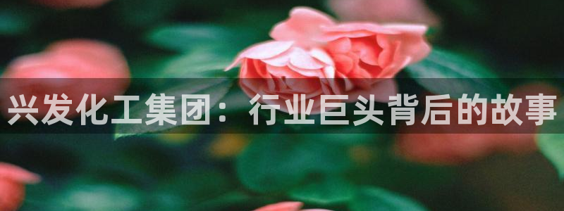 球盟会黑台