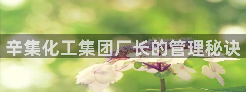 球盟会电子好下吗
