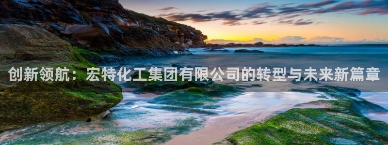 球盟会平台怎么样：创新领航：宏特化工集团有限公司的转型与未来