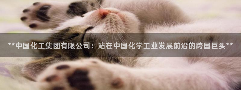 球盟会有没有黑单的：**中国化工集团有限公司：站在中国化学工