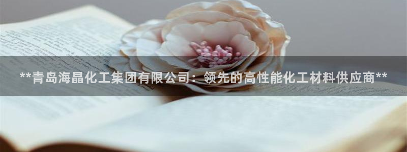 球盟会电子：**青岛海晶化工集团有限公司：领先的高性能化工材