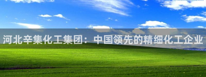 球盟会头号玩家是谁：河北辛集化工集团：中国领先的精细化工企业