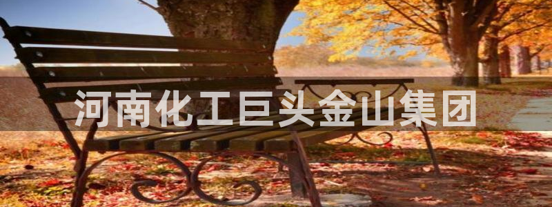 球盟会官方最新入口：河南化工巨头金山集团