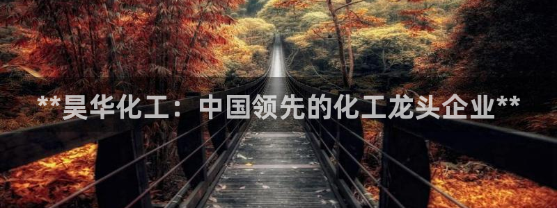 球盟会里面有打牌的嘛：**昊华化工：中国领先的化工龙头企业*