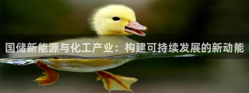 球盟会App：国储新能源与化工产业：构建可持续发展的新动能