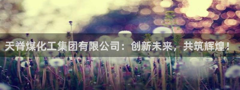 球盟会官方网站：天脊煤化工集团有限公司：创新未来，共筑辉煌！