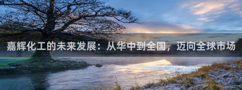球盟会登陆入口：嘉辉化工的未来发展：从华中到全国，迈向全球市