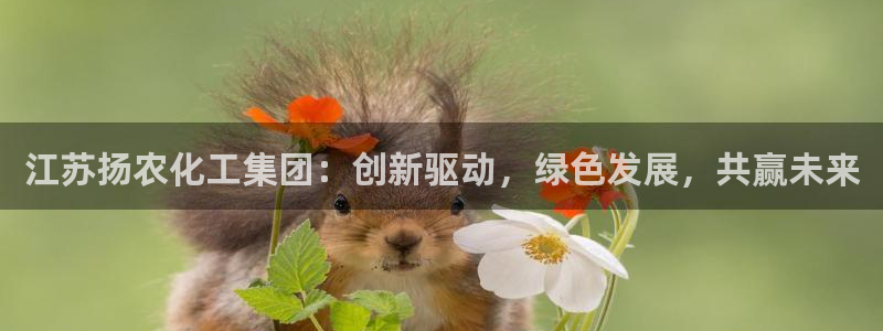 千亿球盟会：江苏扬农化工集团：创新驱动，绿色发展，共赢未来