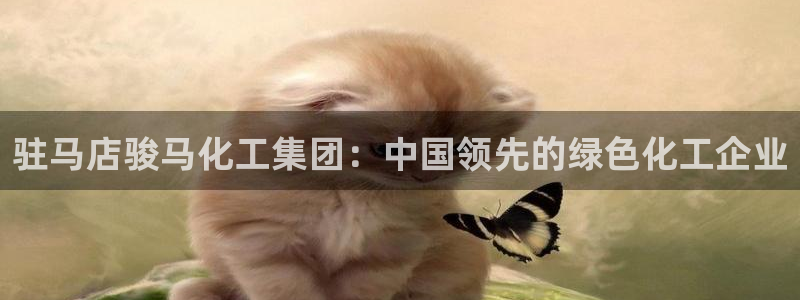 球盟会app安装：驻马店骏马化工集团：中国领先的绿色化工企业