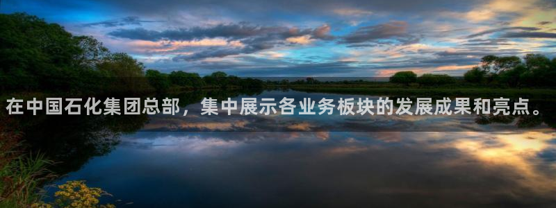 球盟会黑：在中国石化集团总部，集中展示各业务板块的发展成果和