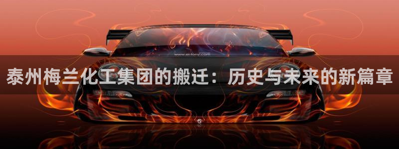 球盟会有没有黑单的球员：泰州梅兰化工集团的搬迁：历史与未来的