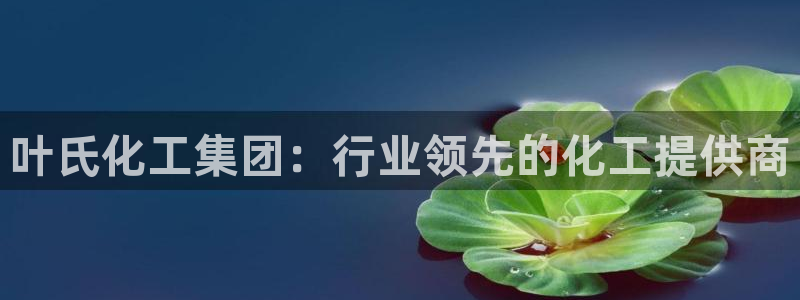 球盟会官网网页版：叶氏化工集团：行业领先的化工提供商