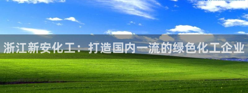 球盟会qmh电子网页版登录：浙江新安化工：打造国内一流的绿色