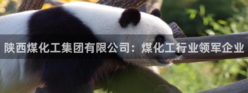 球盟会在线登入：陕西煤化工集团有限公司：煤化工行业领军企业