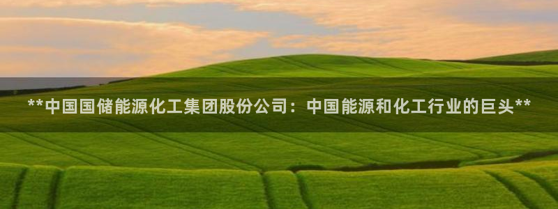 球盟会可靠不：**中国国储能源化工集团股份公司：中国能源和化