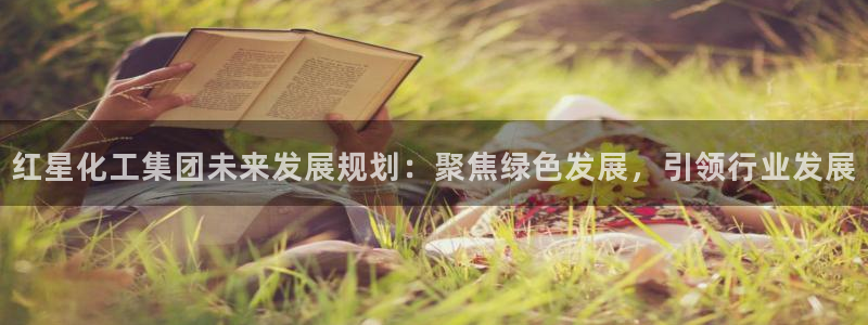 球盟会类似的网站：红星化工集团未来发展规划：聚焦绿色发展，引