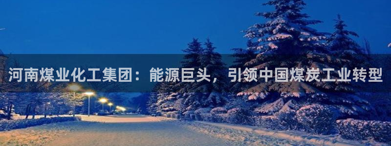球盟会app手机登录：河南煤业化工集团：能源巨头，引领中国煤