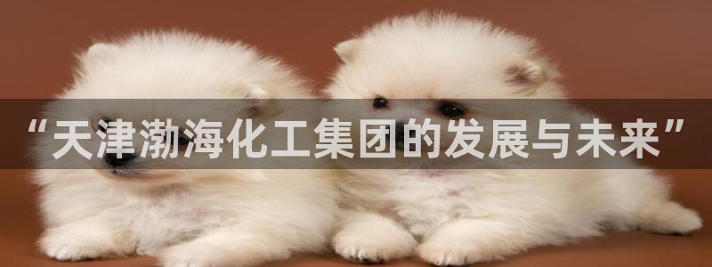 球盟会下载最新版：“天津渤海化工集团的发展与未来”