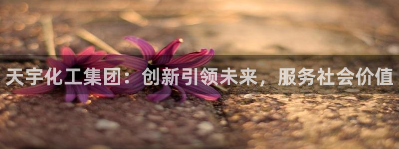 球盟会官方网站入口：天宇化工集团：创新引领未来，服务社会价值