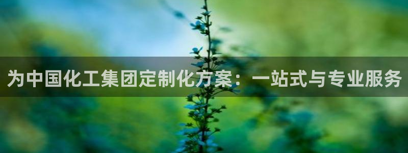 球盟会：为中国化工集团定制化方案：一站式与专业服务