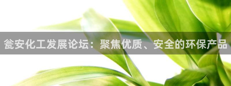 球盟会福利码2023最简单三个步骤：瓮安化工发展论坛：聚焦优
