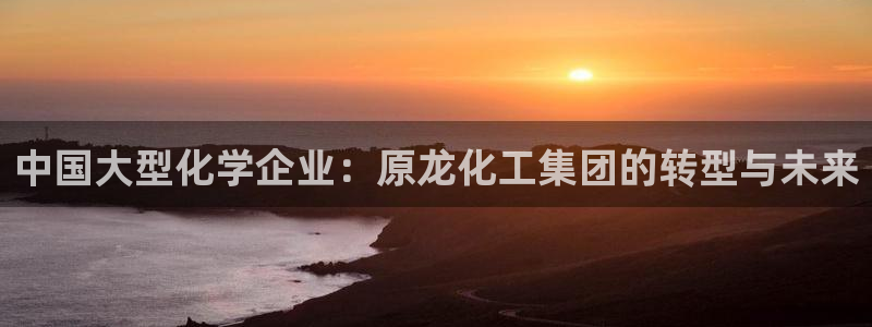 球盟会有限公司怎么样：中国大型化学企业：原龙化工集团的转型与