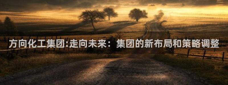 球盟会黑台子：方向化工集团:走向未来：集团的新布局和策略调整