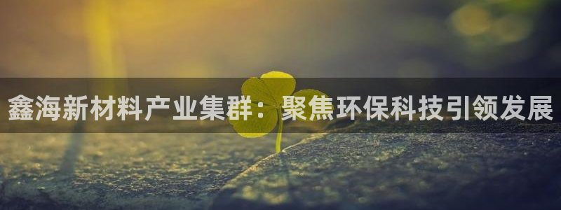 球盟会网址qm9 - 球盟会qmh网页版登录：鑫海新材料产业
