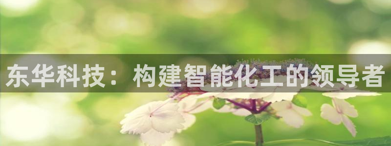 球盟会APP官网：东华科技：构建智能化工的领导者